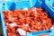 Blue plastic containers, catch of sea Royal shrimp