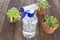 Blue plastic spray bottle with poted plants on wooden background