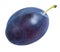 Blue plum isolated on white background