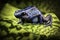 Blue poison dart frog amazon rain forest