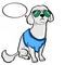 Blue poodle dog and thinking and sunglasses