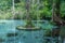 Blue Pool, turquoise crystal clear water in forest