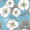 Blue poppy flowers pattern