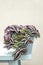 Blue pot with tradescantia zebrina of hanging green and violet leaves on the edge of a pale blue table