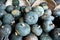 Blue pumpkins in bushel baskets