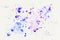 Blue and purple cheerful light multicolored spots on white paper, spring shades. Hand draw illustration.
