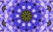 Blue/Purple flower-shaped mandala Art