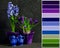 Blue and purple hyacinth and crocus still life