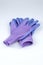 Blue and purple ladies gardening gloves