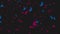 Blue purple neon glitter confetti abstract video animation