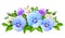 Blue and purple pansy flowers. Vector illustration.