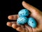Blue quail eggs and hand
