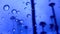 Blue Rain Drops 2 SWAMIS Beach Encinitas California