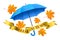 Blue realistic umbrella, falling orange maple leaves