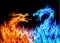 Blue and red fire Dragons