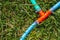 Blue, Red Plastic Water Pipe Splitter on Green Grass