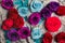 Blue , red , purple colorful roses background