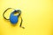 Blue retractable dog leash on a yellow background, with space for text. Flat lay