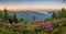 Blue Ridge Mountains, Rhododendron, sunrise