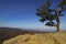 Blue Ridge Mountains Vista From Ravens Roost