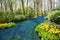 A blue river in the forest, formed from flowers.