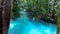 Blue river in the jungle