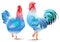 Blue Rooster and chicken female symbol 2017 by Chinese calendar