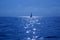 Blue sailboat sailing mediterranean sea