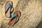 Blue sandal on stone background