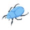 Blue scarab icon, isometric style