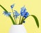 Blue scilla flowers in vase