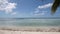 Blue sea on horizon background and branch of palm tree on summer beach timelapse