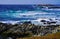 Blue sea, ocean waves, pink flowers and rocks cliff on Pacific Coast