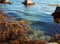 Blue sea water, stones and rocks, marine flora