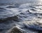 Blue sea water with waves and ripples close-up background. AI-generated image