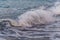 Blue sea wave with white foam, bubbling sea wave, high wave in the sea, tide, ocean, Caspian Sea