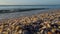 Blue sea waves with white foam washed multicolored stones