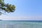 Blue seashore with big cloduy sky and green branch