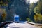 Blue semi truck on sunny winding green road with trees