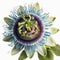 Blue Serenity: The Alluring Blue Passion Flower