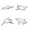 Blue Shark Animal Vector Illustration Hand Drawn Cartoon Art