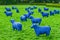 Blue Sheep