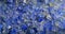 Blue Silica Gel Crystals