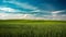 Blue skies above lush green fields, a serene countryside