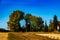 Blue skies, ponds and farmers fields on a drive thru Lacombe County, Alberta, Canada