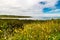 Blue skies and wildflowers. Aspen Beach Provincial Park. Alberta Canada