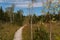 Blue sky above a wooden jetty and many trees in a moorland Murnauer Moos in a cozy rural countryside on a sunny day