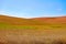 Blue sky against hills of gold and green ripening canola