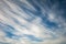 Blue sky background with tiny stratus cirrus striped clouds. Clearing day and Good windy weather