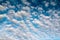 Blue sky background with white clouds. Beautiful cloud scape. Altocumulus clouds